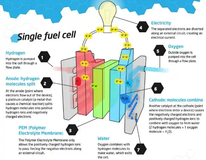 how fuel cell vehicles works